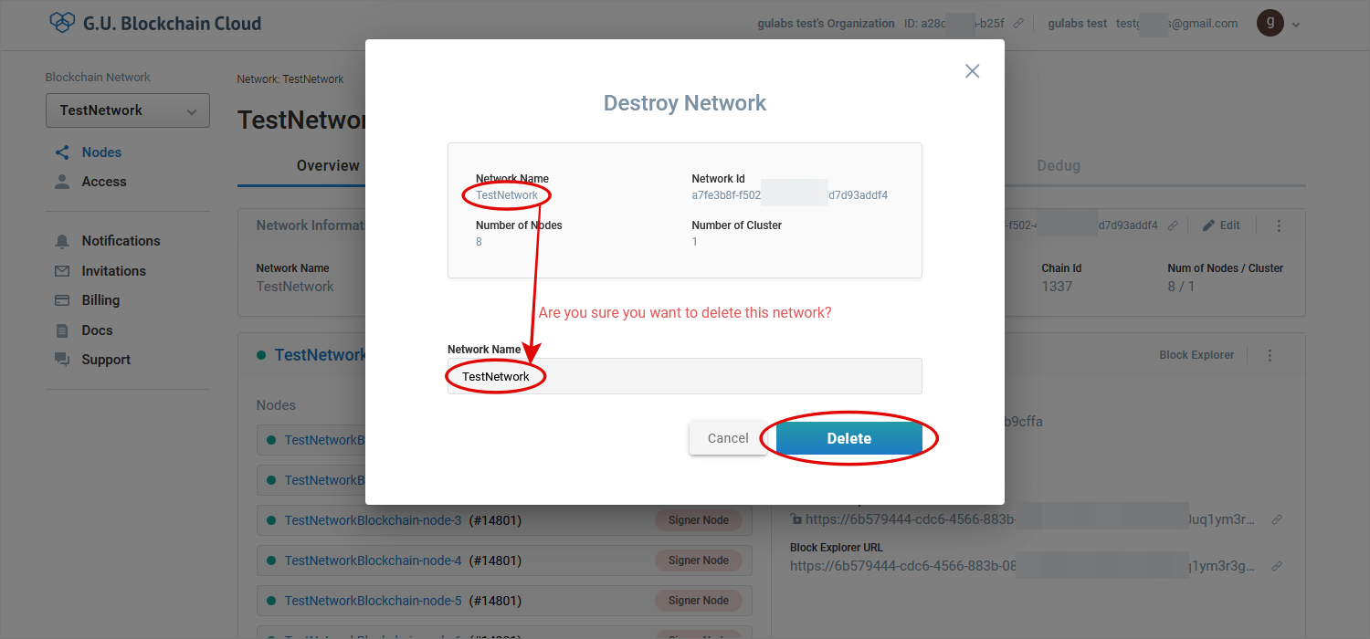 Input Network Name